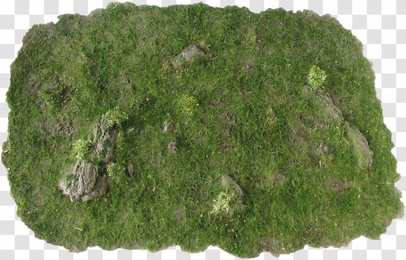 Wargaming Miniature Figure Mat Rock - Dry Twigs Transparent PNG