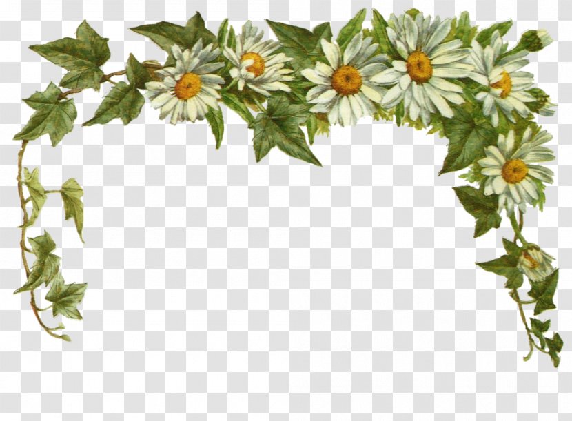 Download Flower Clip Art - Leaf - Vintage Daisy Cliparts Transparent PNG