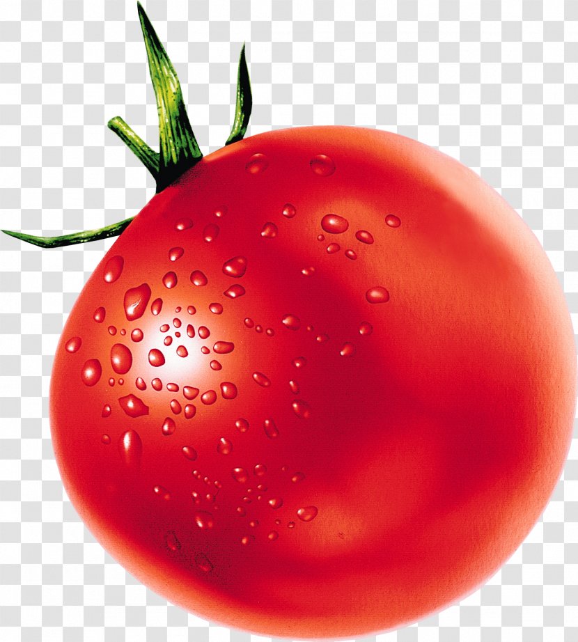 Tomato Vegetable Pomodoro Technique Clip Art - Tomatoes Transparent PNG