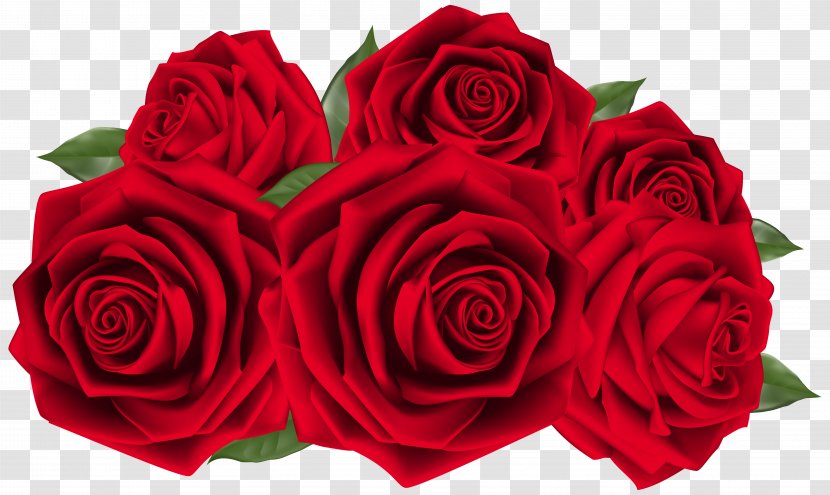 Wedding Anniversary Birthday Flower Invitation - Cut Flowers - Beautiful Dark Red Roses Clipart Image Transparent PNG