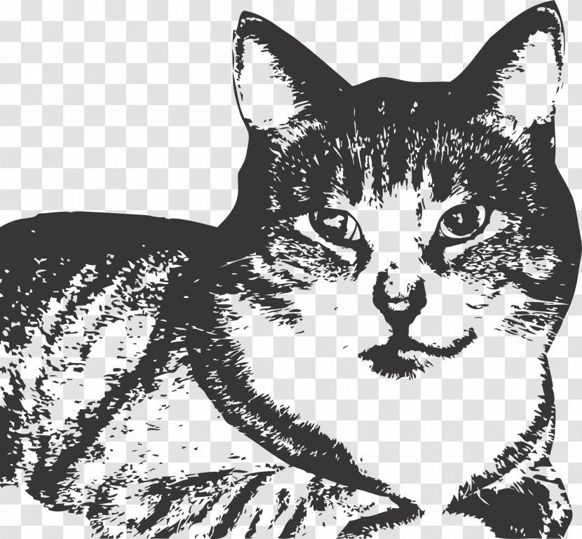 T-shirt Zazzle Cat Sticker Kitten - Cats Protection Transparent PNG