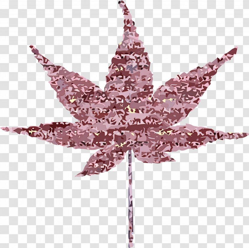 Maple Leaf Transparent PNG