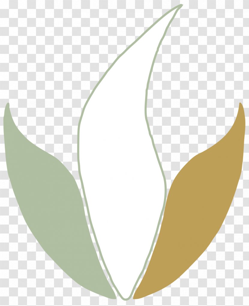 Petal Line Leaf Clip Art - Plant Stem Transparent PNG
