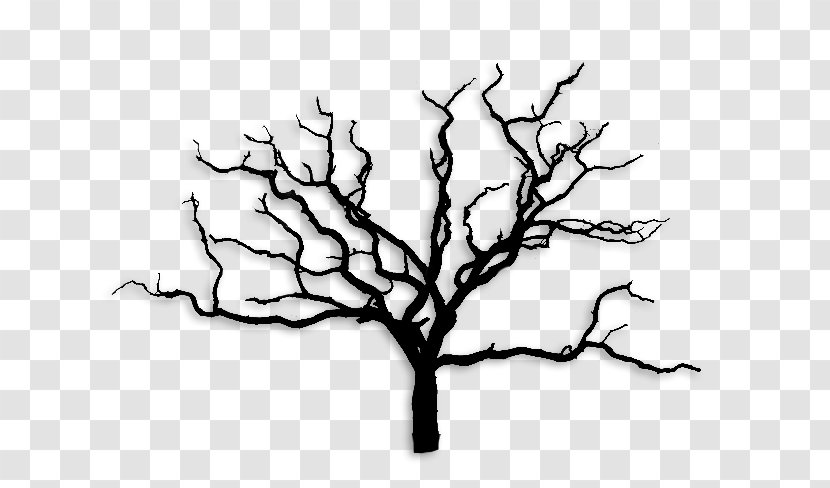 Tree Wall Decal Branch Transparent PNG