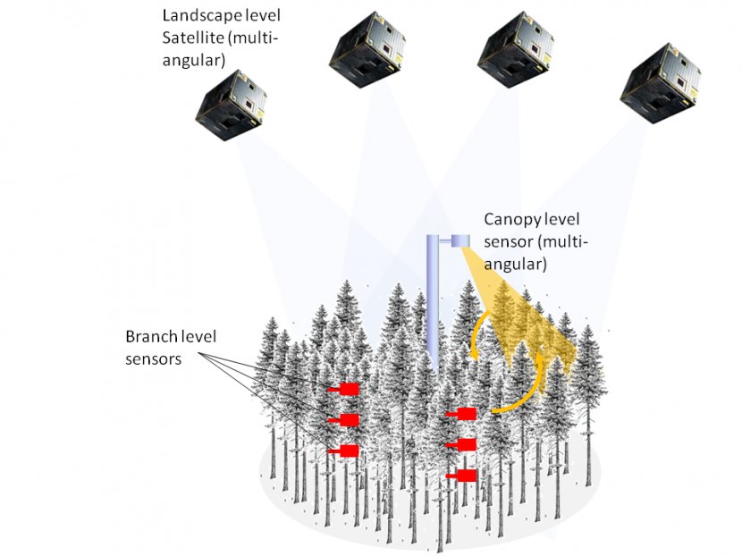 Remote Sensing Sensor Photosynthesis Atmosphere Carbon Dioxide - Of Earth - Photosynthetic Efficiency Transparent PNG