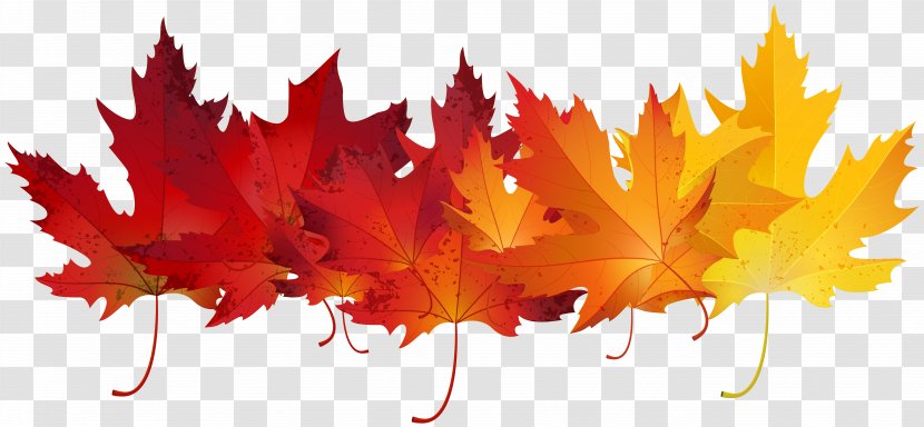 Autumn Leaf Color Clip Art - Red Leaves Transparent Image Transparent PNG