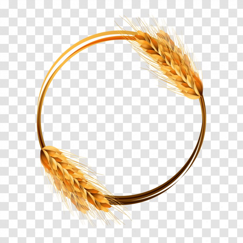 Wheat Beer Common Ear Crop - Golden Ring Vector Material Pictures Transparent PNG