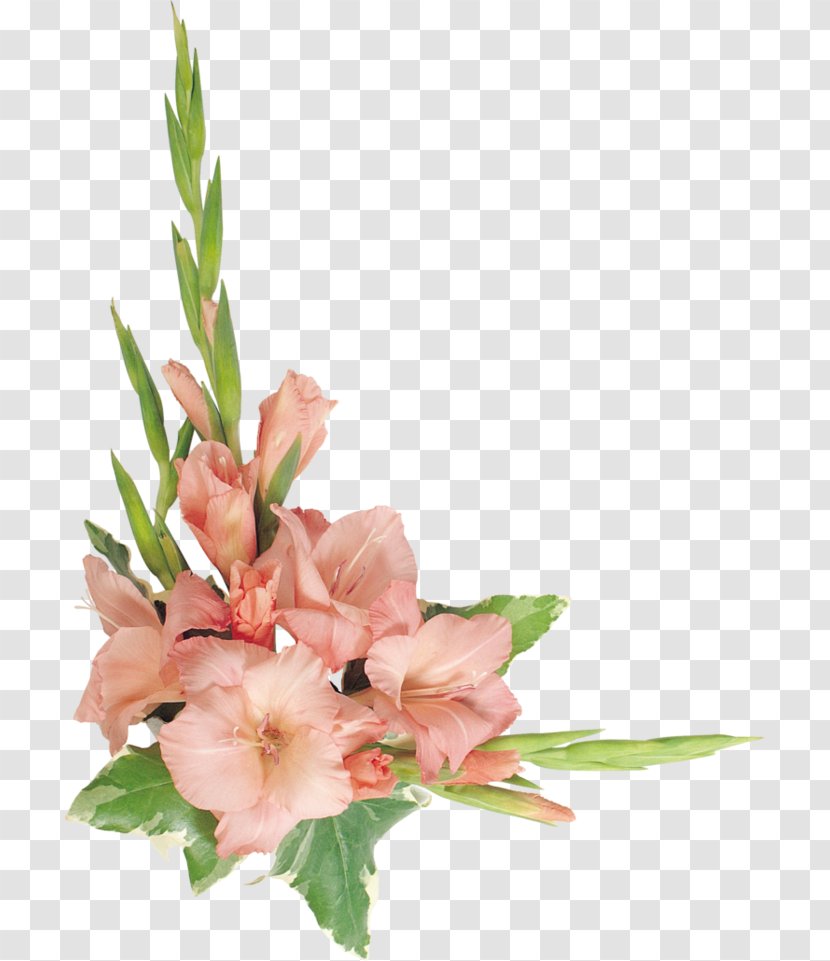 Floral Design Cut Flowers Orchids - Flower Arranging Transparent PNG