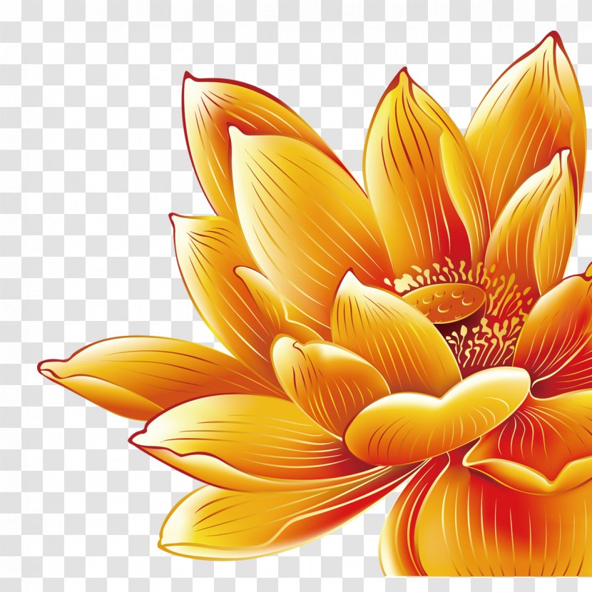 China Mooncake Nelumbo Nucifera - Orange - Golden Lotus Transparent PNG