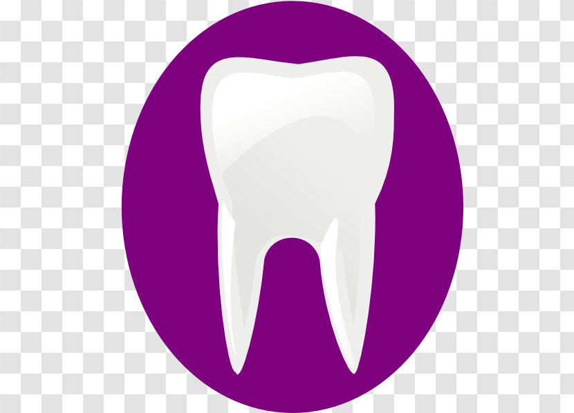 Tooth Logo Jaw Mouth - Cartoon - Design Transparent PNG