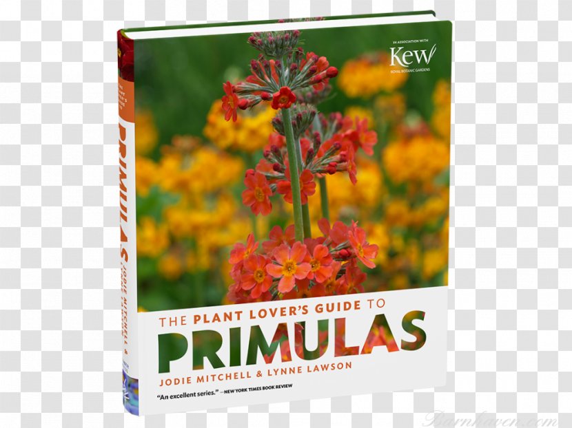 The Plant Lover's Guide To Primulas Primrose Sedums Classic Garden Plants - Seed - Book Transparent PNG