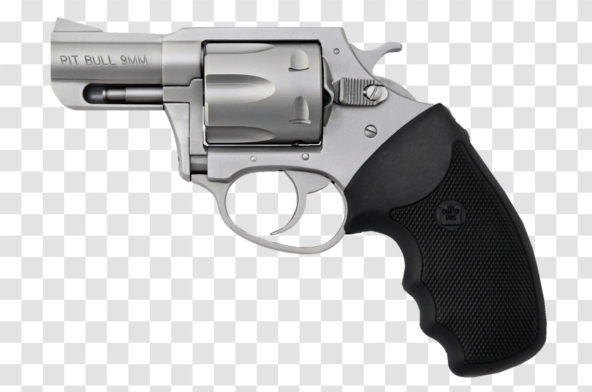 Charter Arms .357 Magnum Revolver Firearm .38 Special - Cartuccia Transparent PNG