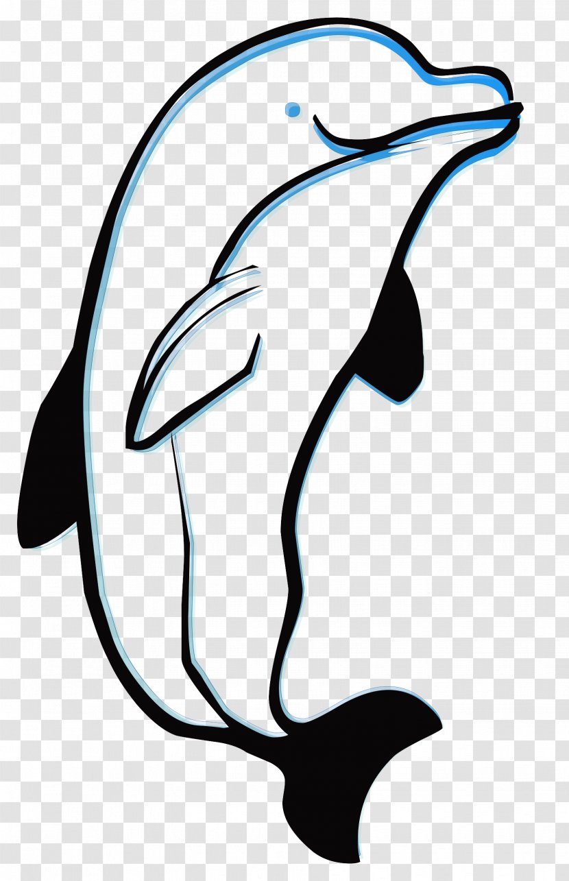 Dolphin Drawing Photography - Cartoon Transparent PNG