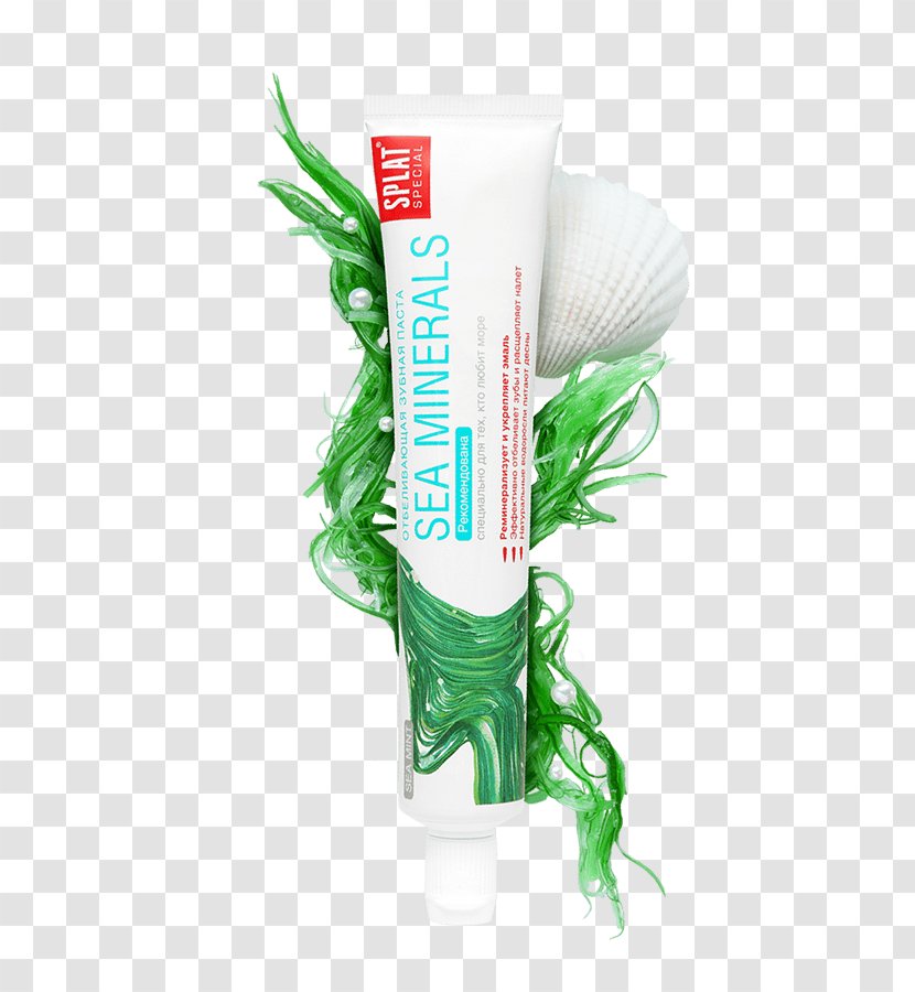 Toothpaste Mineral Tooth Enamel Splat-Cosmetica Sea - Seaweed - Minerals Transparent PNG