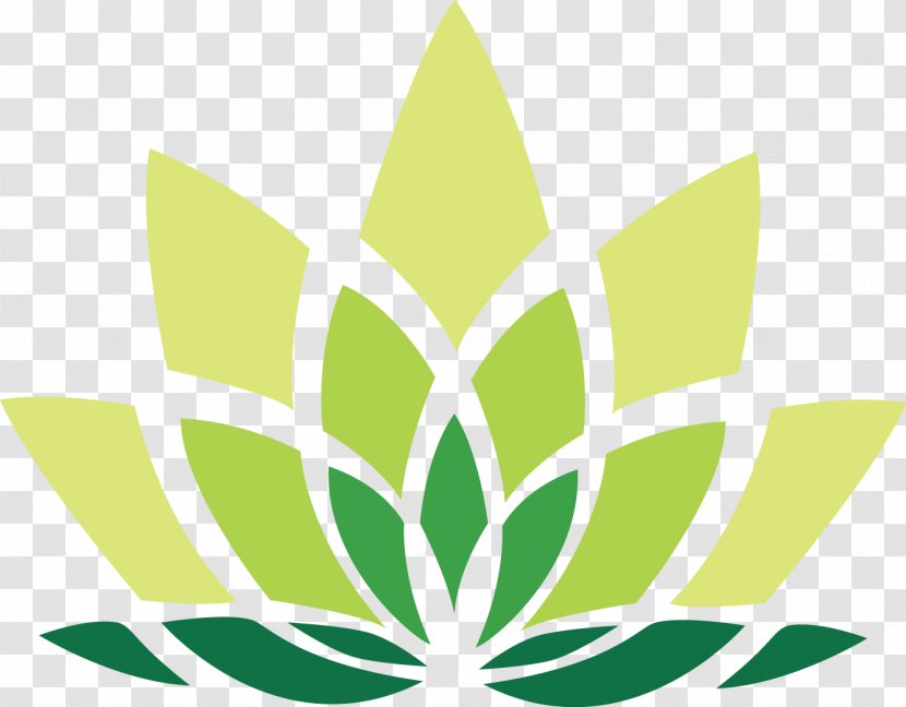 Symbol Logo Leaf Pattern - Green Transparent PNG