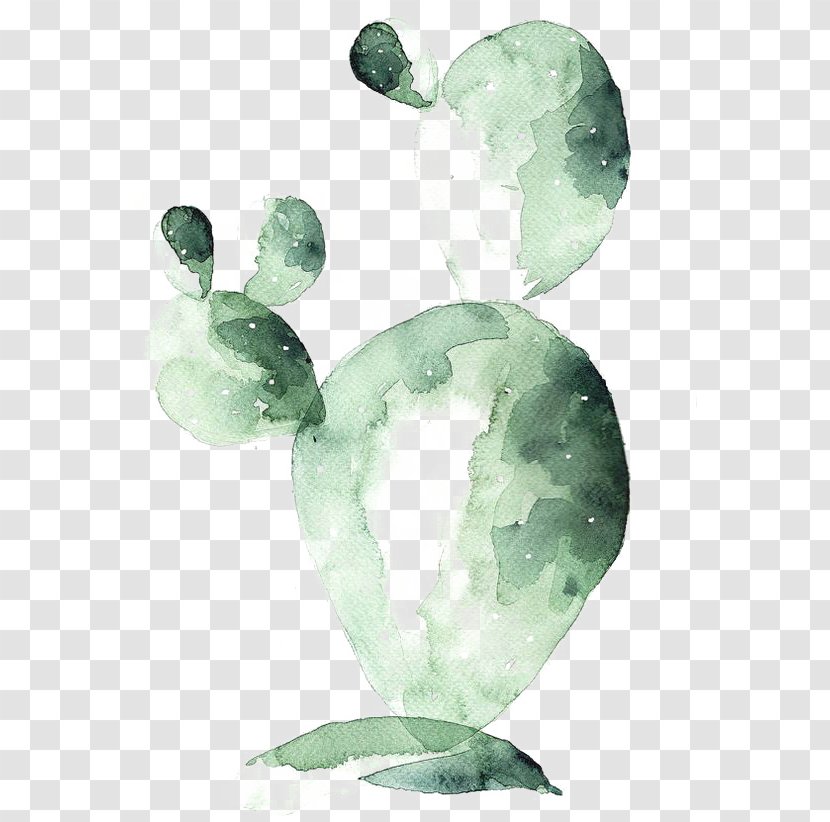 Watercolor Painting Cactaceae Drawing Printmaking - Organism - Cactus Transparent PNG