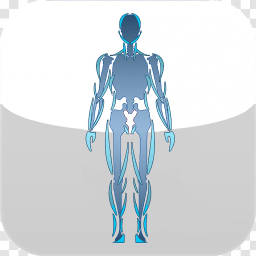 Arm Human Body Graphic Design Hip Joint - Tree Transparent PNG