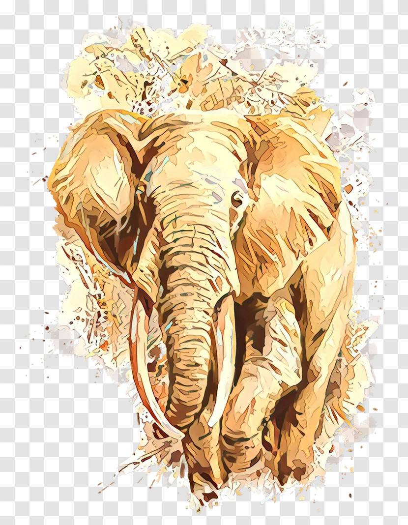 Indian Elephant Transparent PNG