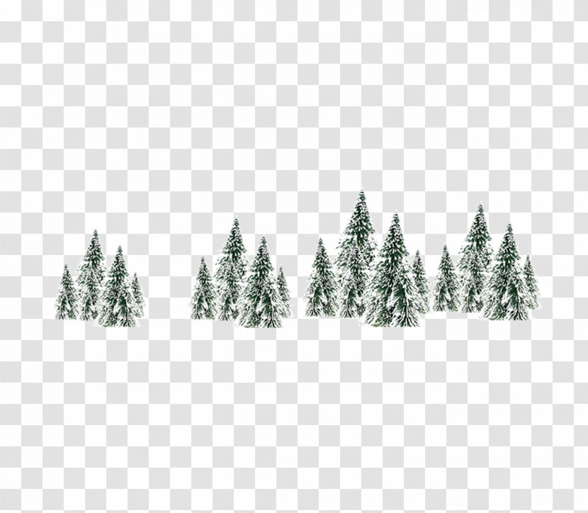 Winter Snow Spruce Tree - Christmas Transparent PNG