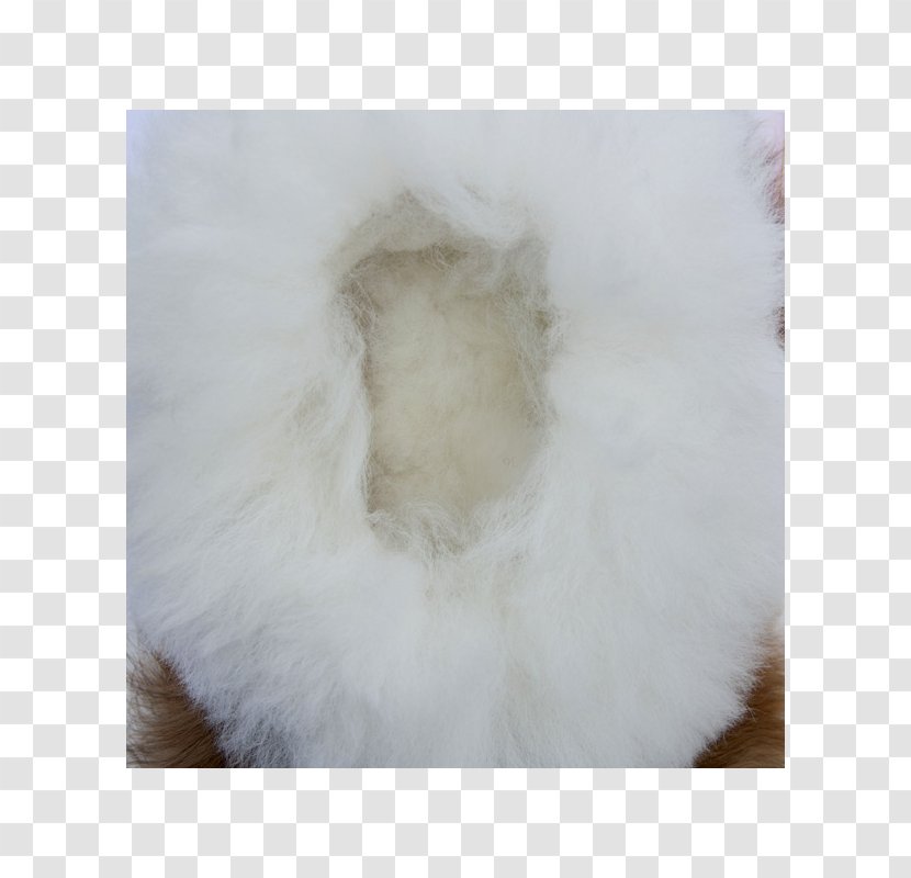 Alpaca Fiber Slipper Wool Sheep Shearing - White - Textile Transparent PNG