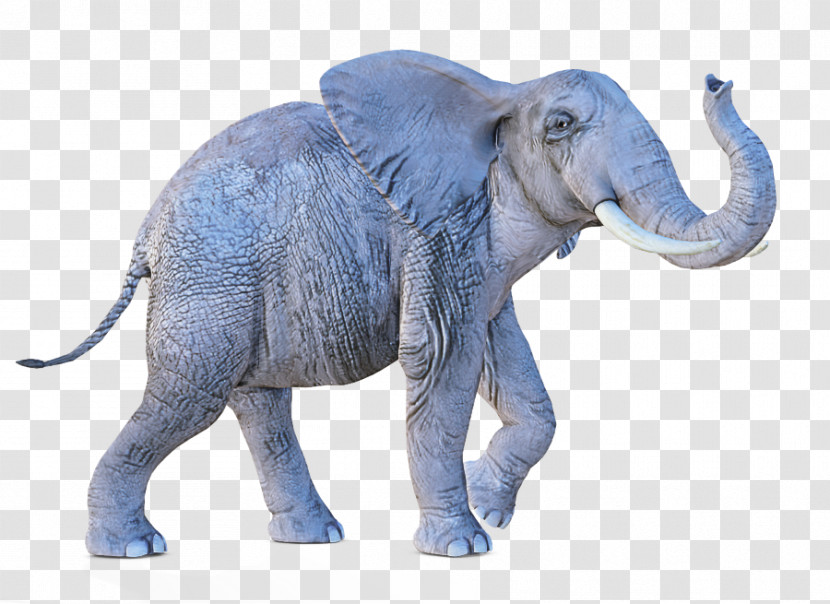 Indian Elephant Transparent PNG