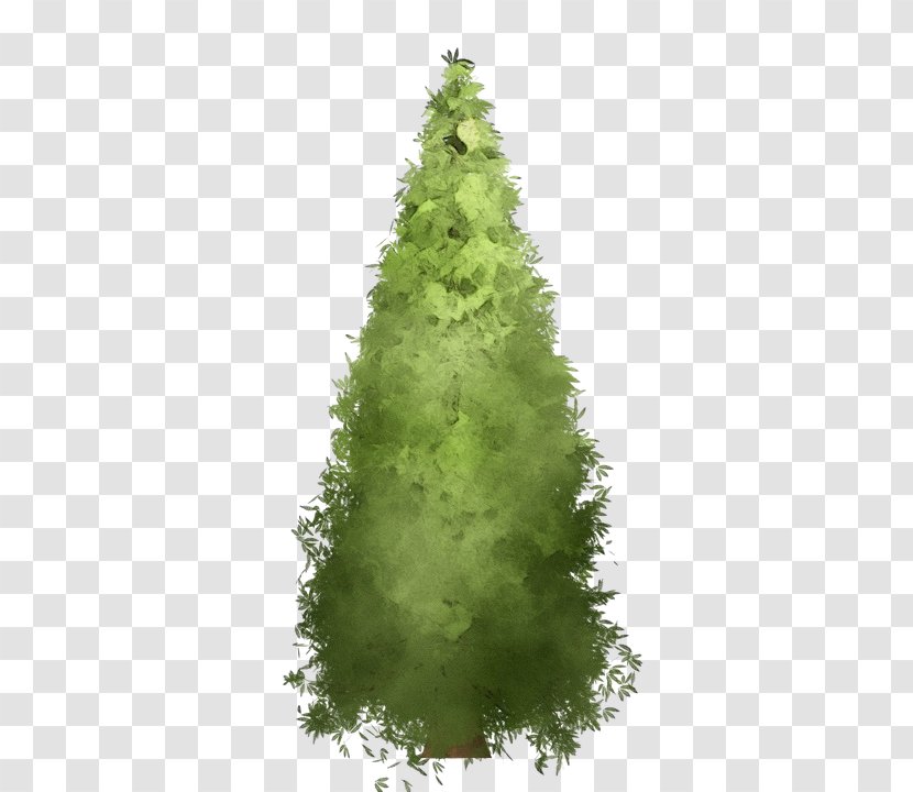 Christmas Tree - Plant - American Larch White Pine Transparent PNG