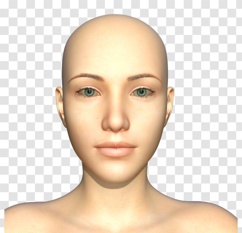 DAS Productions Inc Eyebrow Morphing Face 3D Computer Graphics - Temple Transparent PNG