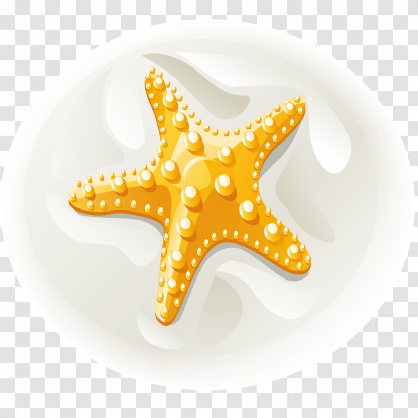 Starfish Euclidean Vector Clip Art - Beach Transparent PNG