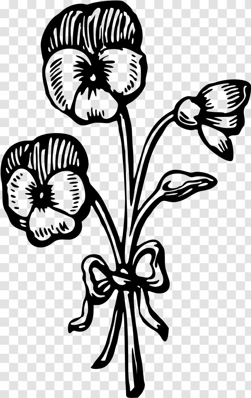 Floral Design Elder Clip Art - Elderberry Transparent PNG
