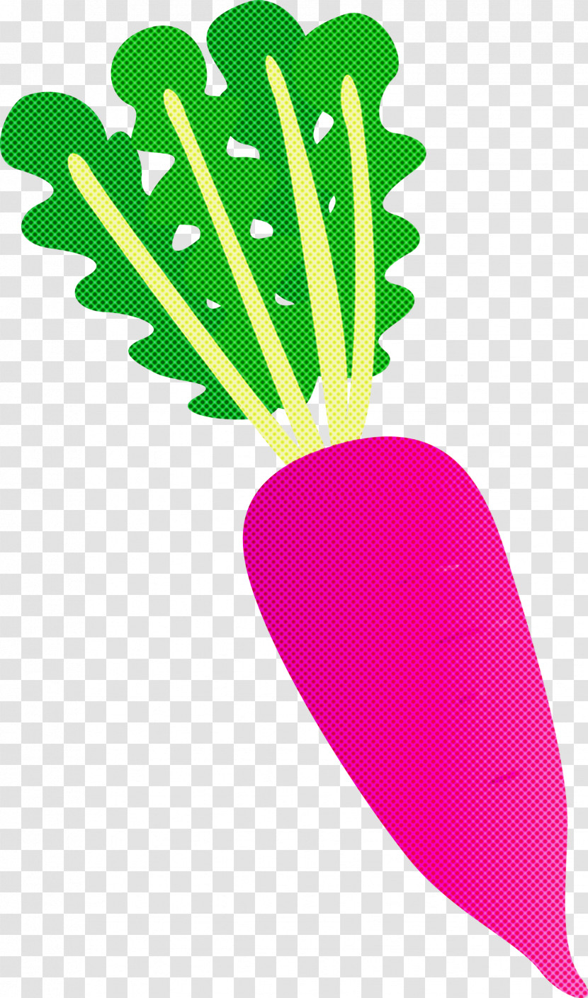 Radish Transparent PNG