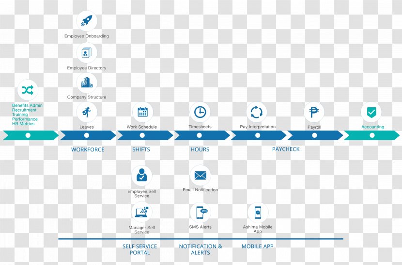 Workflow Workforce Management Payroll Organization - Number - Human Resource System Transparent PNG