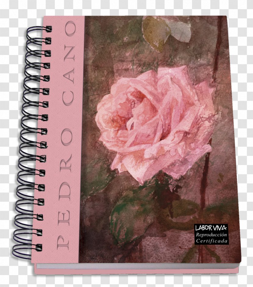 Notebook Diary Standard Paper Size Stationery Product Transparent PNG