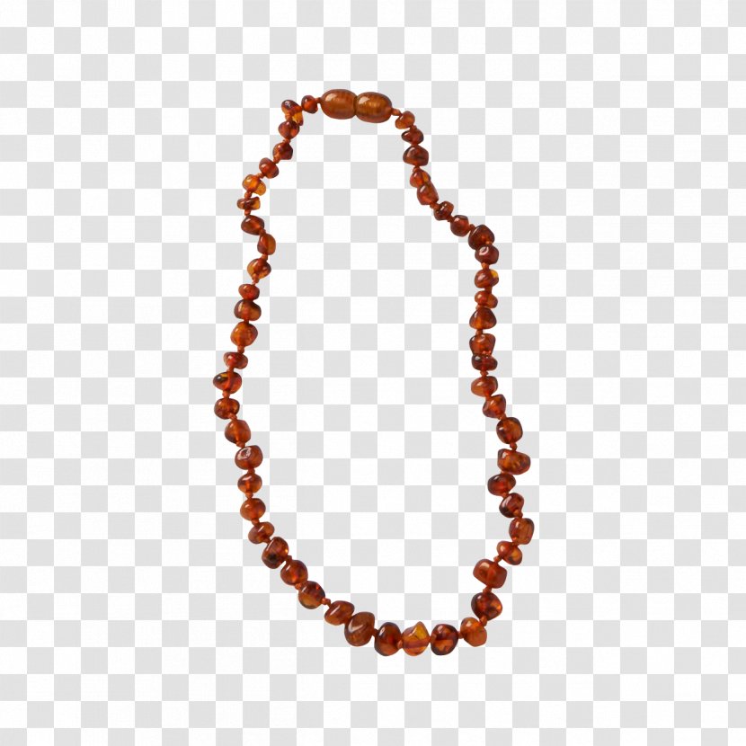Baltic Amber Necklace Jewellery Teething - Charms Pendants Transparent PNG