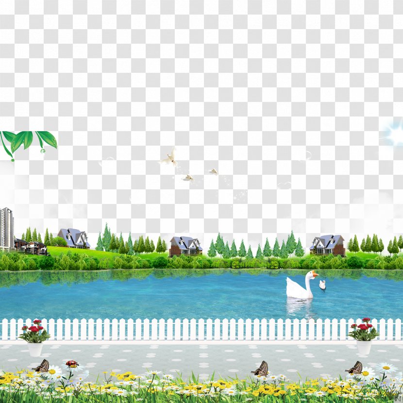 River Icon - Daytime - Park Beauty Transparent PNG
