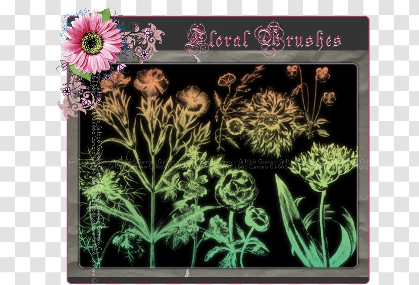 Floral Design Flowering Plant Herb - Flower Transparent PNG