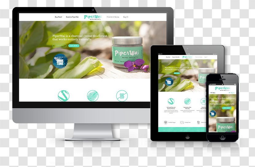 Website Development Web Page Responsive Design - Multimedia - Seaweed Nori Transparent PNG