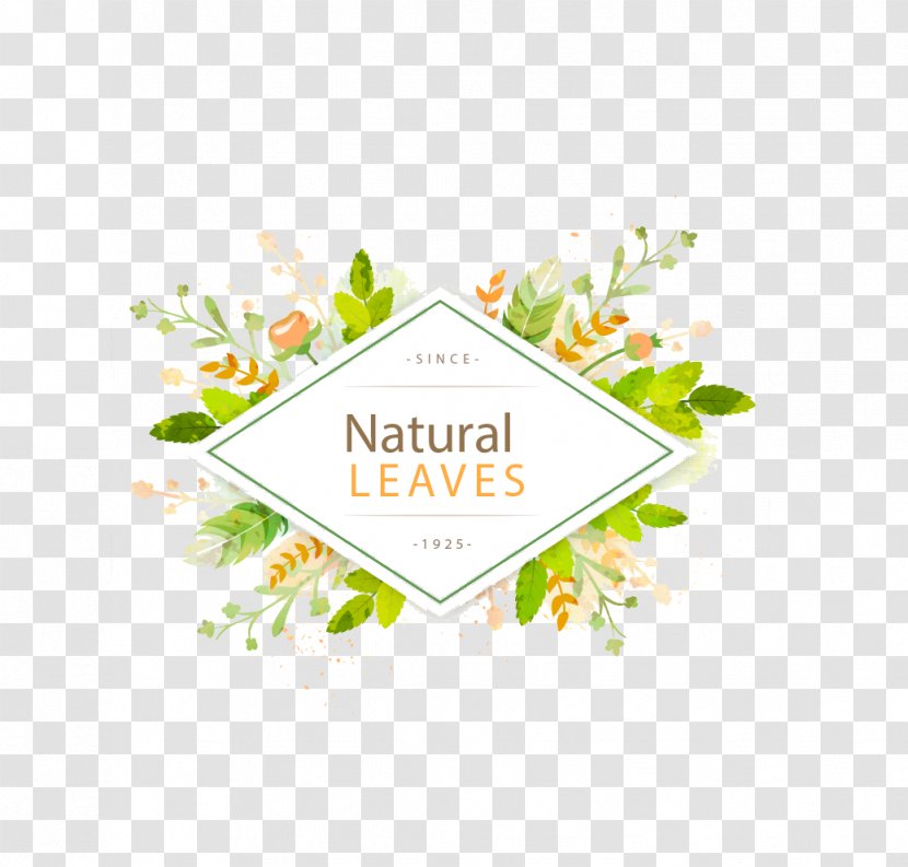 Leaf Euclidean Vector - Text - Green Frame Title Transparent PNG