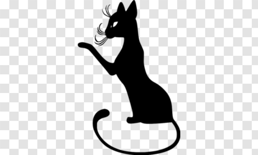 Cat Kitten Drawing - Dog Like Mammal Transparent PNG