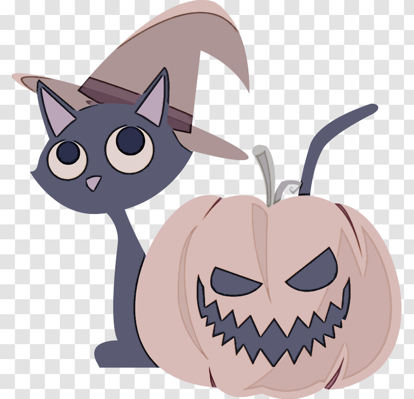 Cat Kitten Whiskers Snout Cartoon Transparent PNG