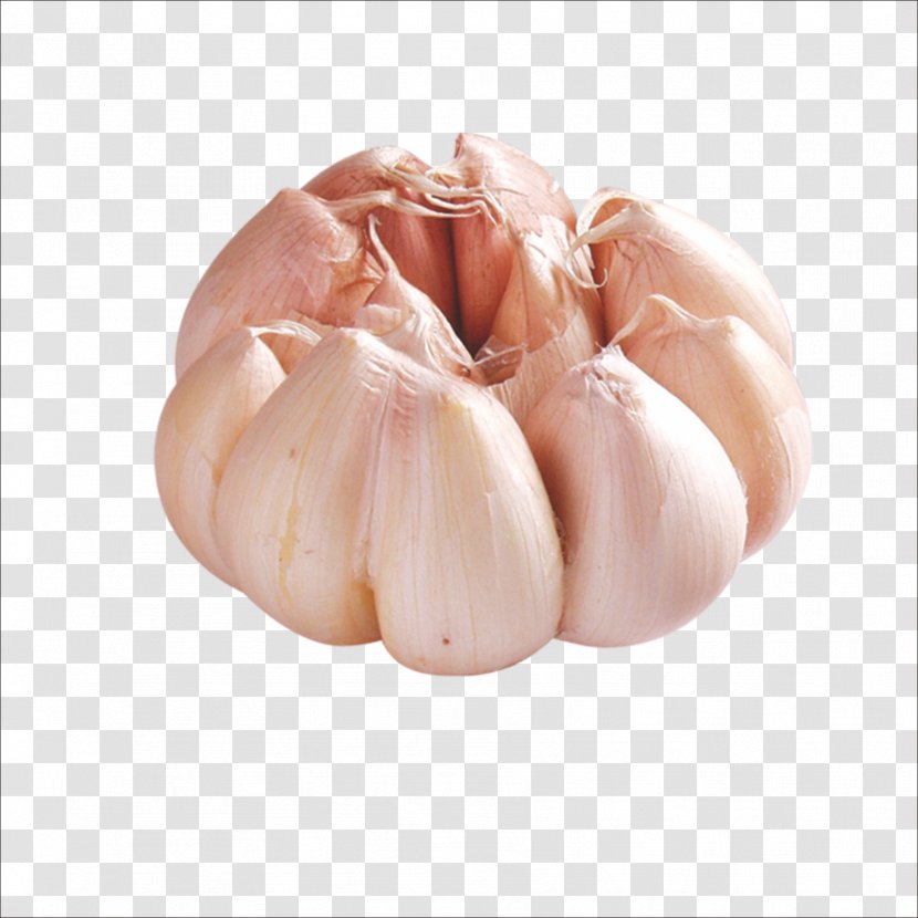 Solo Garlic Vegetable Gratis - Flower Transparent PNG