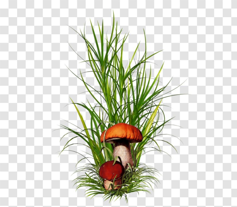 Ornamental Grass Clip Art - Family - Flowerpot Transparent PNG