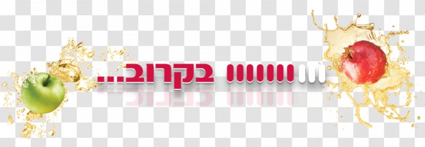 Keyword Tool Research Inventory Shufersal Discounts And Allowances - Rosh Hashana Transparent PNG