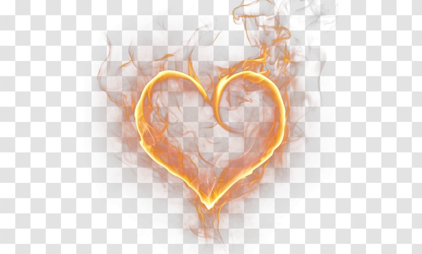 Heart-shaped Light Flame - Flower - Silhouette Transparent PNG