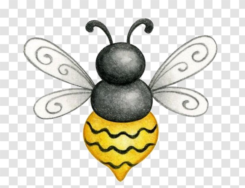 Honey Bee Drawing Photography Insect - Arthropod Transparent PNG