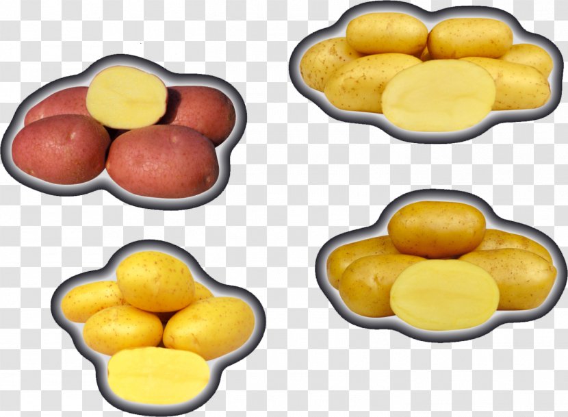 Stavebniny Svirik S.r.o Finger Food Commodity Cuisine - Potato - Potatoes Plant Images Transparent PNG