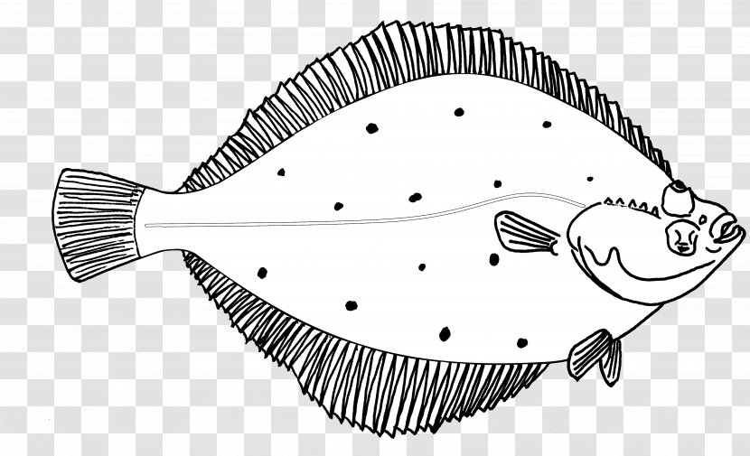 Flatfish Line Art Drawing Sketch - Fish Transparent PNG