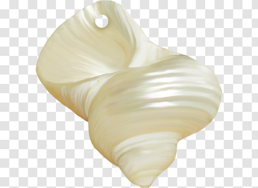 Seashell Shankha Oyster Pearl - Starfish Transparent PNG
