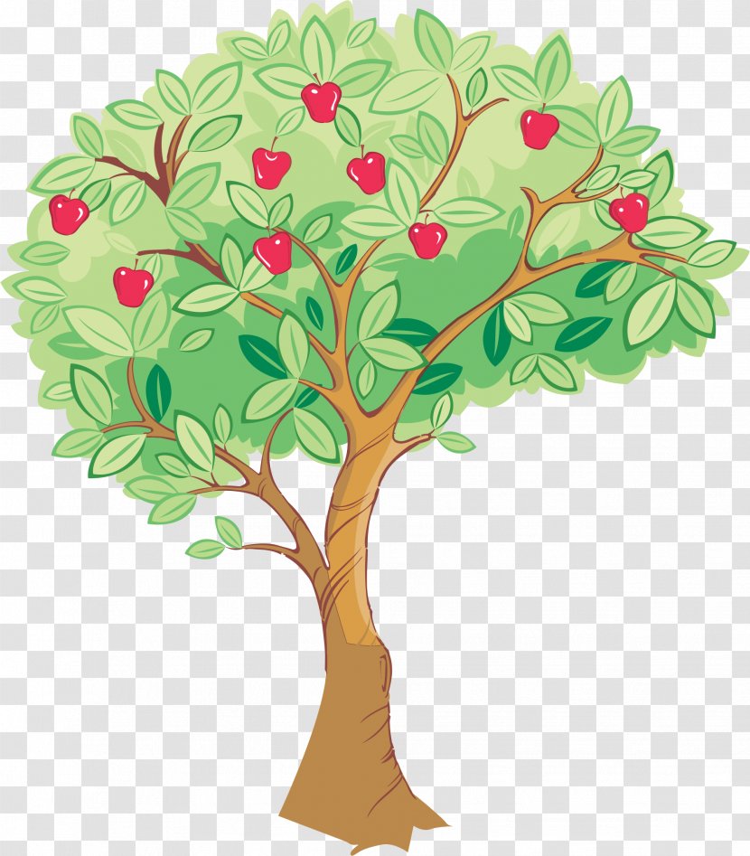 Tree Drawing - Flowering Plant - Green Apple Transparent PNG