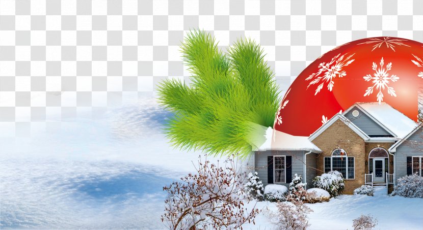 Christmas Tree, Snow - Ornament - Pine Branches Cabin Transparent PNG