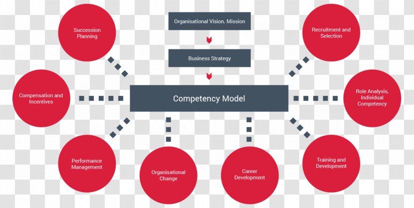 Competence Organization Competency-based Learning Behavior Management - Communication - Investment Money Transparent PNG